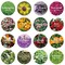 16 Bags Dried Flowers,100% Natural Dried Flowers Herbs Kit for Soap Making, DIY Candle Making,Bath - Include Rose Petals,Lavender,Don't Forget Me,Lilium,Jasmine,Rosebudsand More